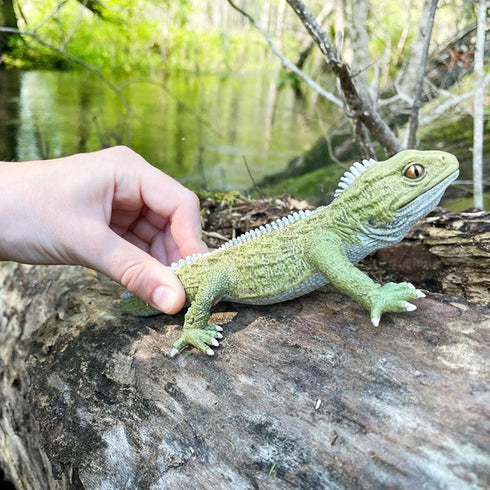 Safari Ltd. Tuatara Figurine - Detailed 7" Plastic Model Figure - Fun Educational Toy for Boys, Girls & Kids Ages 3+...