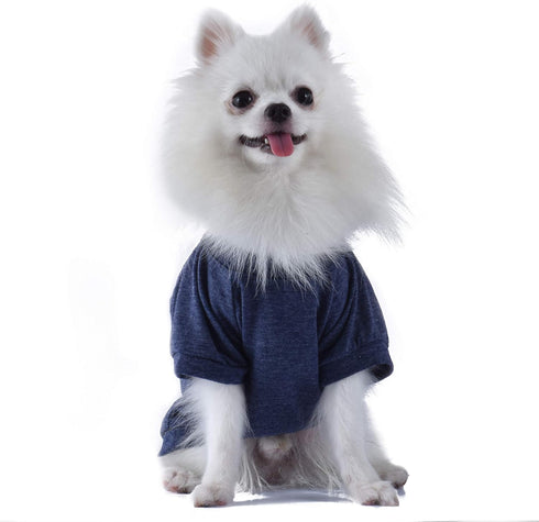 Star Wars for Pets Judge Me by My Size, Do You? Dog Tee | Star Wars for Pets Dog Shirt | Size Small | Soft, Cute, and Comfortable Dog Clothing and...