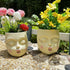 Face Planter Pot Face Flower Pots for Plants Succulent Planter Head Planter Pot Face Flower Pots for Plants Face Planters Pot Indoor and Outdoor...