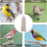 Weewooday Finch Sock Feeder Thistle Socks Bird Feeder Instant Seed Sack Feeder 4.7 x 11 Inch(White, 6 Pieces)...
