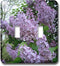 3dRose lsp_3139_2 " Lilac Double Toggle Switch...