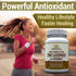 Windmill Health Products Natural Vitamins Zinc Lozenges with Vitamin C Honey Lemon Flavor, Immune System Support, Provides Antioxidant Support, De...