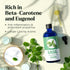 Basil Essential Oil - Pure Essential Oils for Skin, Hair, Diffusers, Humidifiers, Aromatherapy, Yoga, Massages, Home Care - Fragrance Oils for Soa...