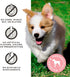 Primal Freeze Dried Dog Treats; Chicken & Banana Dog Treats with Goat Milk for Dogs, Peelin' Fantastic, Grain Free Training Treats for Dogs with P...