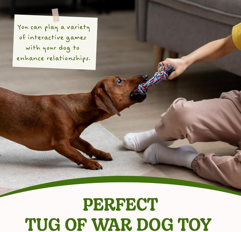 2 Pack Dog Rope Toy for Small Dogs, Puppy Teething Toys, Durable Cotton Puppy Chew Toys for Teething, Small Dog Toys for Aggressive Chewers, Inter...