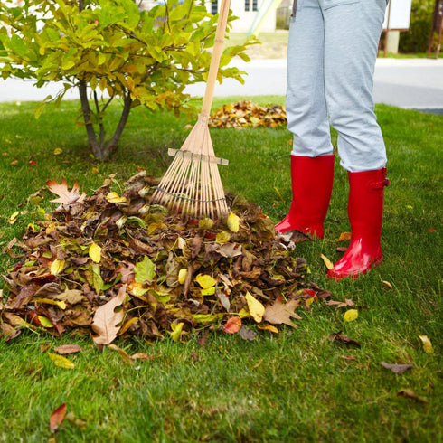 Yardwe Yard Leveling Rake Leaf Scoops Hand Rakes Short Handle Rake Planting Mini Gathering Leaf Tool Rakes for Gardening Lawn Tools Small Rake wit...