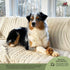 Redbarn Knee Caps for Dogs 4pk (1-Count)...