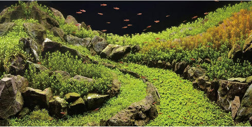 AWERT 30x18 inches Stone Aquarium Background Aquatic Plant River Bed & Lake Fish Tank Background Vinyl Background...