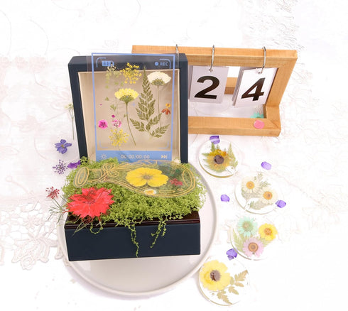 35pcs Resin Dried Flowers + 2 Tweezers, Pressed Flowers-Real Natural Herbs , for DIY Ornaments Candles Cups Making Wall Stickers Lampshades Art Cr...