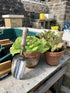 Spear & Jackson 5060SS Traditional Stainless Soil Scoop...