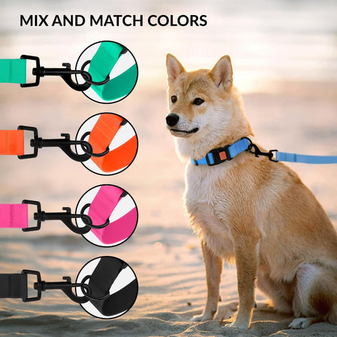 CollarDirect Adjustable Dog Collar Colorful Waterproof Pet Collars for Small Medium Large Dogs Puppy Pink Black Blue Mint Green Orange (Neck Fit 1...