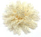 PEPPERLONELY 10PC Set Cream Lace Petal Fabric Flowers, 4 Inch...