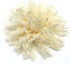 PEPPERLONELY 10PC Set Cream Lace Petal Fabric Flowers, 4 Inch...