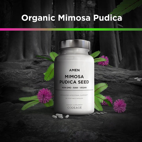 Amen Organic Mimosa Pudica Seeds Capsules, 2 Month Supply, Vegan Mimosa Pudica Seed Plant Supplement - Mimosine Sensitive Plant Pills - Fat Solubl...