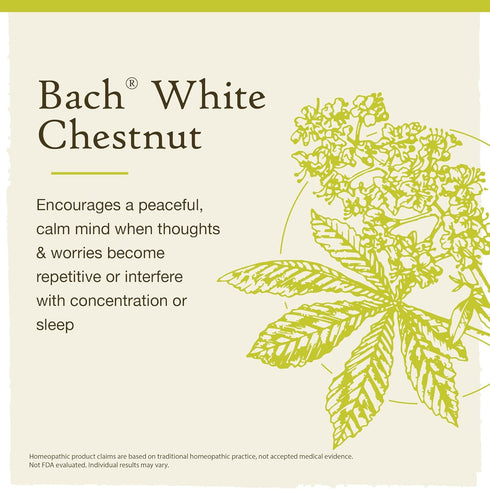 Bach Original Flower Remedies, White Chestnut for Calming Repetitive Thoughts (Non-Alcohol Formula), Natural Homeopathic Flower Essence, Holistic ...