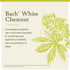 Bach Original Flower Remedies, White Chestnut for Calming Repetitive Thoughts (Non-Alcohol Formula), Natural Homeopathic Flower Essence, Holistic ...