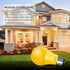 LED Bug Light Bulbs Outdoor 4 Pack,Dimmable 9W Amber Yellow Bug Light Bulbs Replace up to 60W, A19 Bug Lights for Outside, Bedroom, Hallway Porch ...