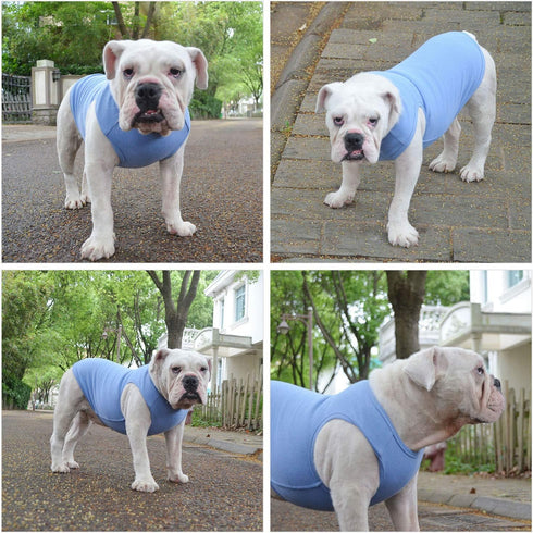 Lovelonglong 2019 Summer Pet Clothing, Dog Clothes Blank T-Shirts Ribbed Tanks Top Thread Vests for Large Medium Small Dogs 100% Cotton Powderblue...