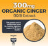 Organic Turmeric and Ginger Tablets, 90 Count - High Potency Ginger and Turmeric Supplement with Black Pepper Extract for Better Absorption - for ...