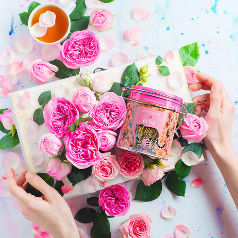 Rose Tea Bags -20 XL Pyramid Sachets- Rose Tea Organic. Tea Blends -Finest Moroccan Rose Petals and Ceylon OP Black Tea Leaves from Uva- Pantenger...