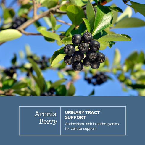 Eclectic Institute Raw Freeze-Dried Organic Aronia Berry Capsules | Supports Heart, Immune System, Digestive, and Urinary Tract Health | 90 CT (45...