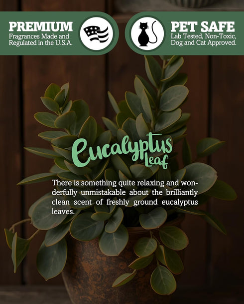 Eucalyptus Leaf Premium Tealight Candles Bulk Pack - Highly Scented with Essential & Natural Oils - 24 Green Tea Lights - Beautiful Candlelight - ...