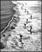 Posterizer 1 pcs-black and white vintage photo style art-surfing at the beach 3-Coastal & Nautical Art-Photography Art-Gift for Nature, Surfers an...