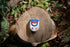 Pokemon Trainer Challenge Edition Toy I Will Guess It! Electronic Voice Recognition Guessing Brain Games Pokemon Games Go Digital Travel Board Gam...