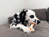 Nylabone Pop-in Dog Treat Toy Refills, All-Natural Dog Treats for Treat Dispensing Toys, Chicken Flavor (90 Count)...