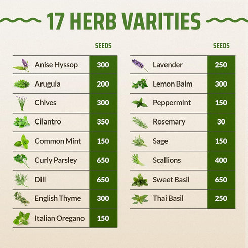 17 Herb Culinary Seed Vault - 5200+ Herbs Seeds for Planting Indoor or Outdoor Garden - Heirloom, Non GMO | Hydroponic Herb Garden Seeds with High...