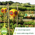 3 Pack De-Bird Duck Deterrent for Pool, Bird Repellent Balloons with Reflective Predator Eyes Scare Birds for Garden, Outdoor, Boat, Yard...