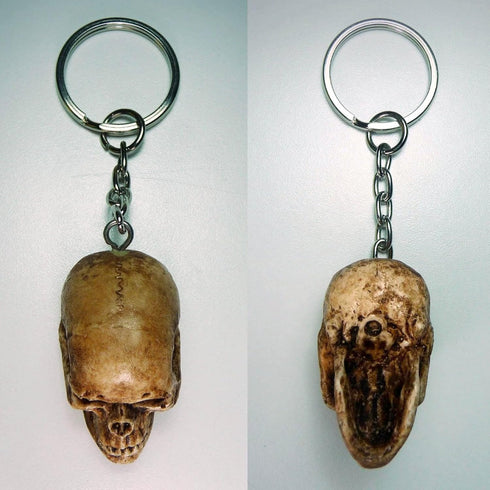 Mini Human Skull Keychain Biker...