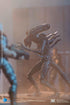 Hiya Toys Exquisite Mini Series 1/18 Scale 5 Inch Aliens Battle Damage Alien Warrior Action Figure...