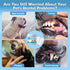 Pet Dental Care Finger Wipes, Pet Teeth Cleaning Wipes for Cats and Dogs, Dog Teeth Wipes, Freshen Breath, Reduce Plaque & Tartar, 2Pack, 100PCS...