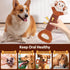 Large Squeaky Dog Toys, Interactive Plush Toys for Tug of War, Crinkle Dog Toy Suitable for Small, Medium and Big Dog Breeds (Monkey)...