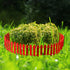 36 Inch Mini Fence Fairy Garden Fence & Waterproof LED 40FT 100 LED Solar String Lights with 8 Lighting Modes | Fairy Garden Accessories Outdoor (...