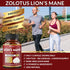 5X Potency 2 Packs 90 Capsules Lions Mane Mushroom Supplement, 5050mg, 6 Month Supply with Cordeyceps, Reishi, Ashwagandha, Focus, Memory and Brai...