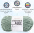 Premier Basix Chunky Knitting Yarn Sage 1145-31 (3-Pack) Same Dye Lot Chunky Bulky #5 Soft 100% Acrylic Bundle with 1 Artsiga Craft Bag...