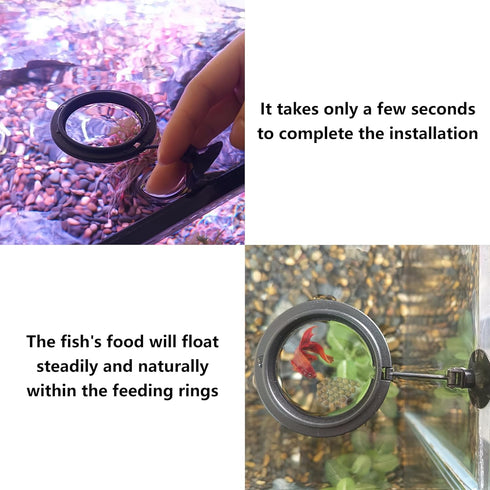 FREESEA Fish Feeding Ring for Aquarium: Round Floating Food Rings for Betta Turtle tank...