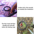 FREESEA Fish Feeding Ring for Aquarium: Round Floating Food Rings for Betta Turtle tank...