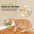 Elevated Cat Bowls, Wall Mounted Cat Food Dish, Raised Cat Food and Water Bowls, Stainless Steel Elevated Pet Bowls with Stand, Nonslip No Spill P...