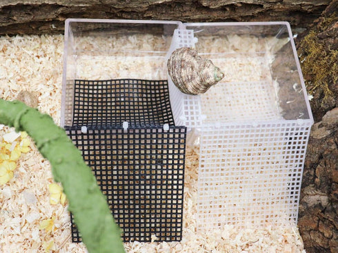 Hermit Crab Water Tank with Climbing Ramp, Hermit Crab Climbing Toy, Hermit Crab Habitat, Hermit Crab Pool Supplies, Aquarium Tank Cage Accessorie...