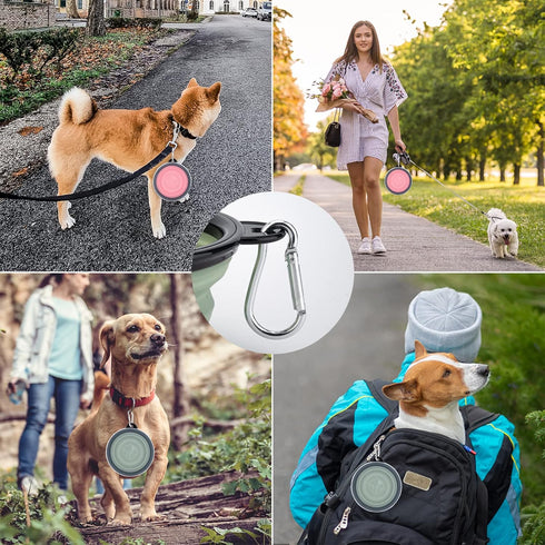 SLSON Collapsible Pet Feeder, 2 Pack Dog Bowls with Cover Lids, Portable Foldable Cat Water Dish Bowl for Pets, Small, Fairy Pink and Sprout Green...