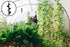 Ashman Auger 12inch One Pack, Garden Plant Flower Bulb Auger for Planting Bulb seedlings...