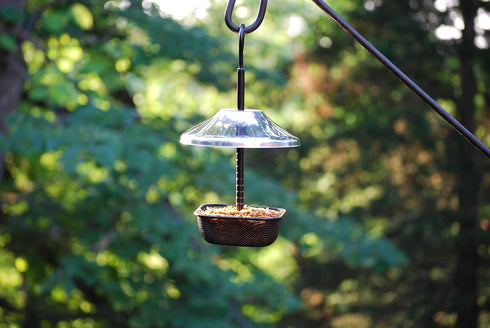Mealworms Bird Feeder | 5 x 5 inch Powder Coated Mesh Bowl with Adjustable Stainless Steel Roof...