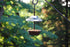 Mealworms Bird Feeder | 5 x 5 inch Powder Coated Mesh Bowl with Adjustable Stainless Steel Roof...
