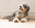 Snore Stop for Pets 40 Sprays I Natural Anti-Snoring Solution I Snore Relief for Dogs Cats I Stop Snoring Aid I Sleep Remedy I Help Stop Dog Snore...