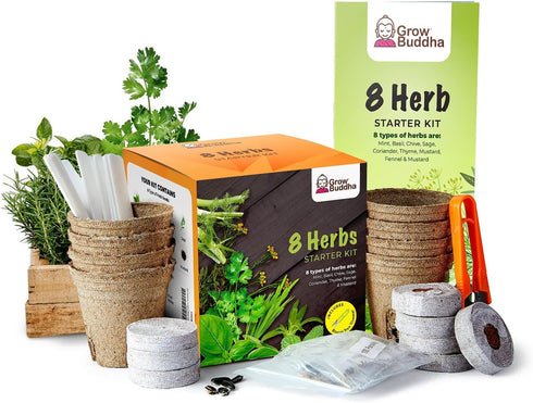 Grow Buddha herb Seeds Variety Pack, Your Own Gardening Kit – Easily Grow Your own herb Garden with Our Complete Beginner Friendly herb Seeds Star...