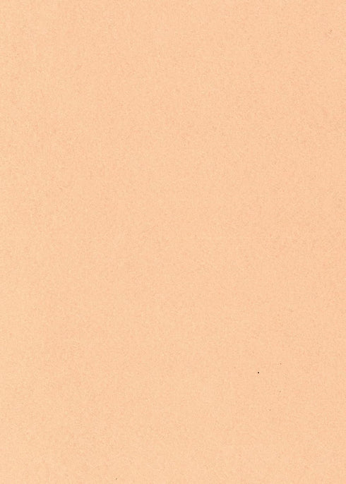 National Nonwovens Blush Pastel Orange-Pink - Wool Felt Oversized Sheet - 20 Wool Blend - 1 Each 12x18 inch Sheet...