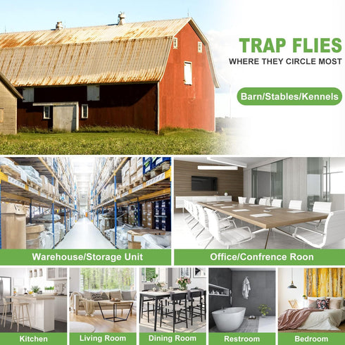 35 XL Pack Window Fly Traps, Fruit Fly Traps for Indoors, Fly Paper Sticky Strips, Fly Traps for Indoors Clear...